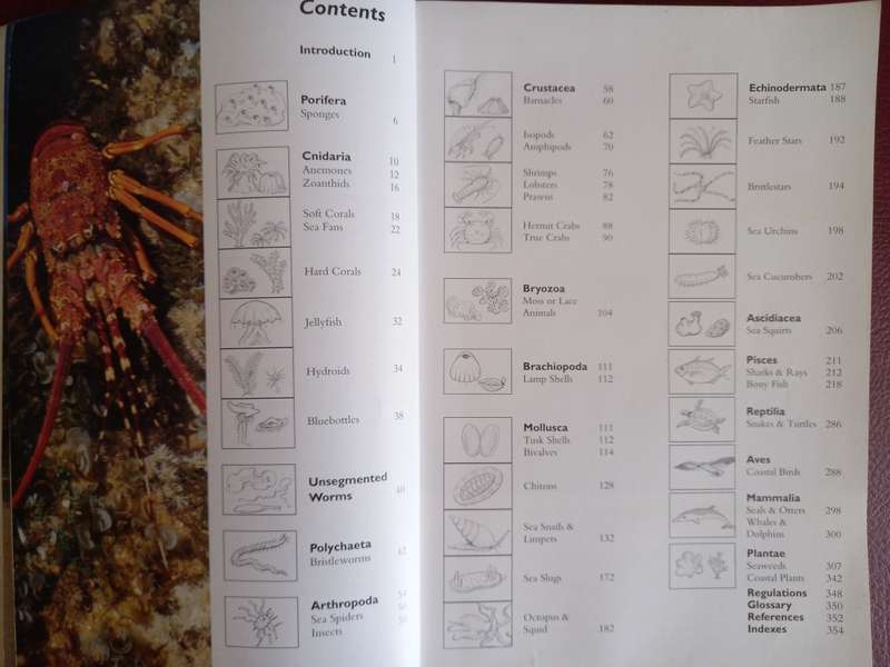 Two Oceans - A Guide to the Marine Life of Southern Africa