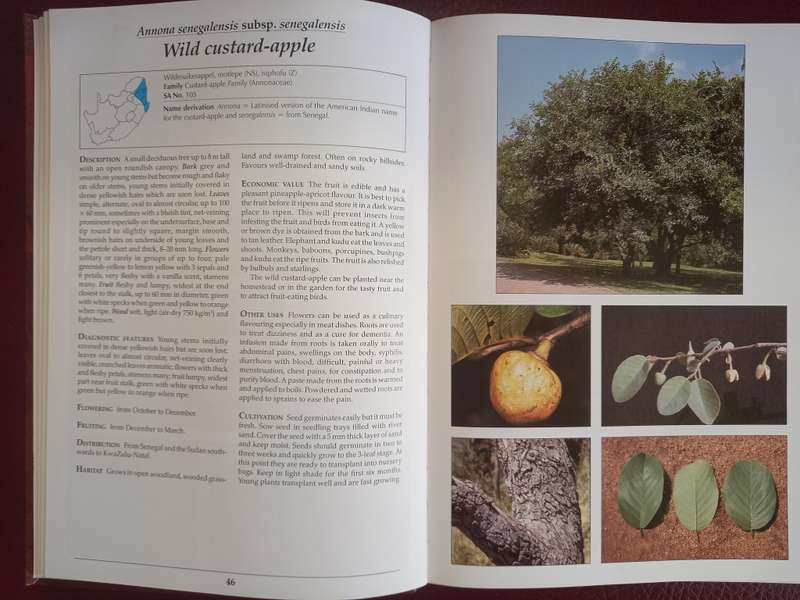 Making the most of Indigenous Trees
