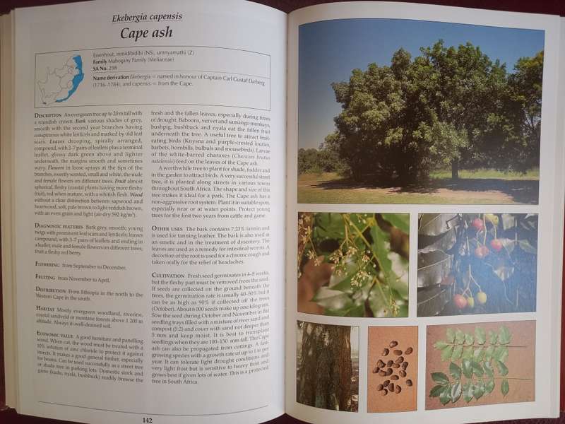 Making the most of Indigenous Trees