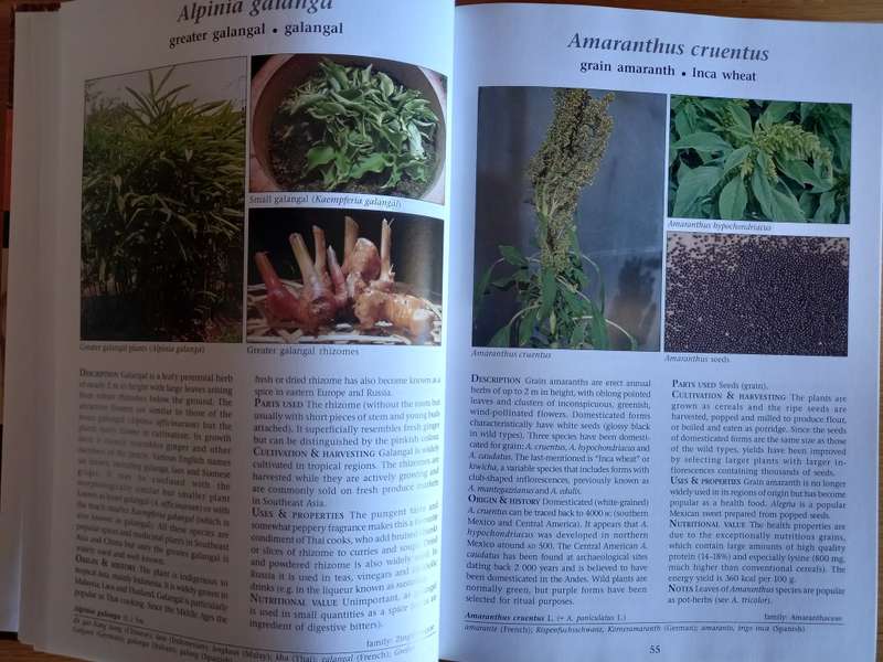 Food plants of the World by Ben-Erik van Wyk