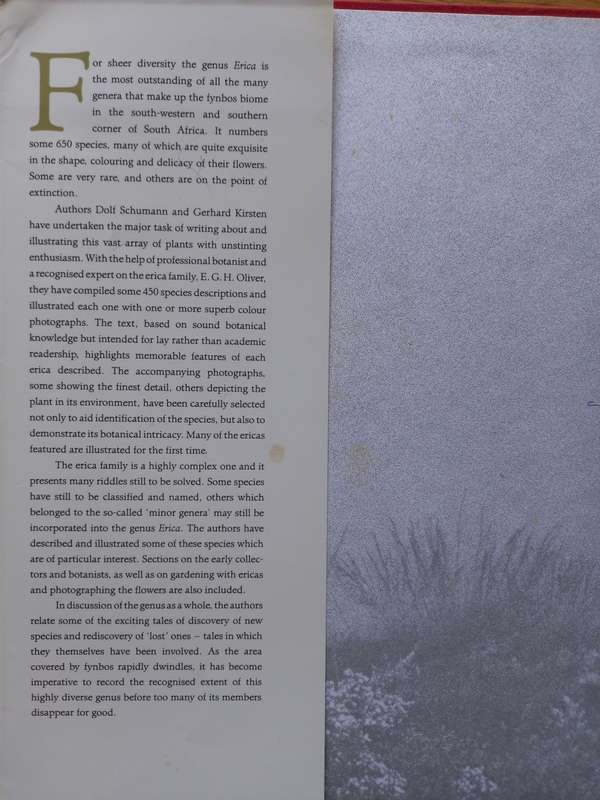 Ericas of South Africa by Schoeman, D., Kirsten, G. & Oliver, E.G.H.