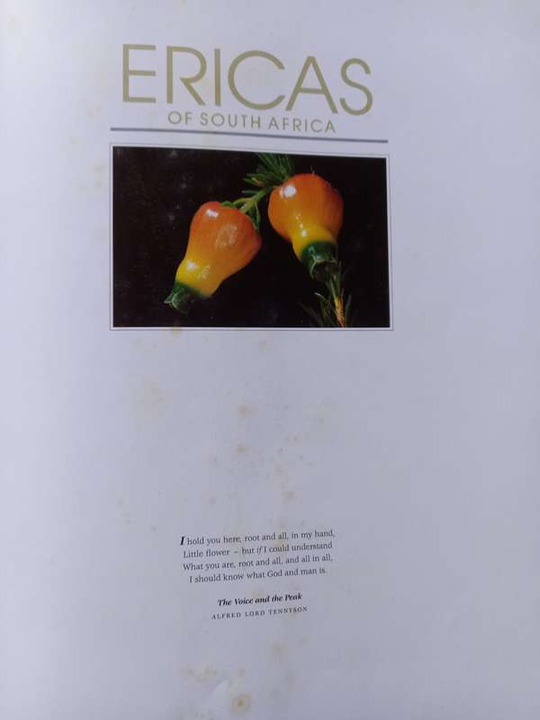 Ericas of South Africa by Schoeman, D., Kirsten, G. & Oliver, E.G.H.