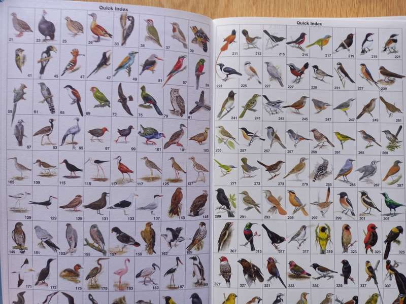 Roberts Bird Guide by Hugh Chittenden