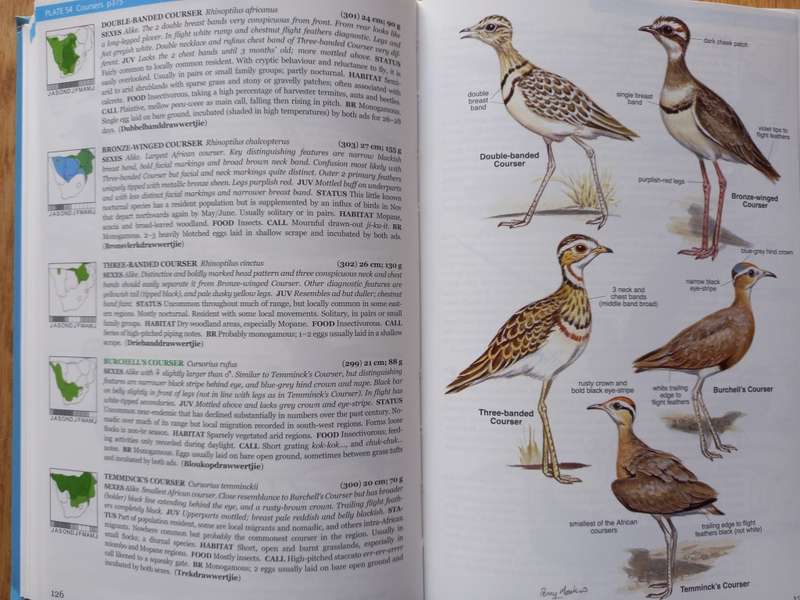 Roberts Bird Guide by Hugh Chittenden