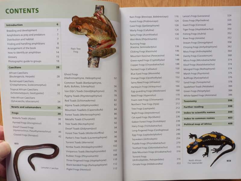 Field Guide to the Frogs & other Amphibians of Africa by Alan Channing and Mark-Oliver Rodel