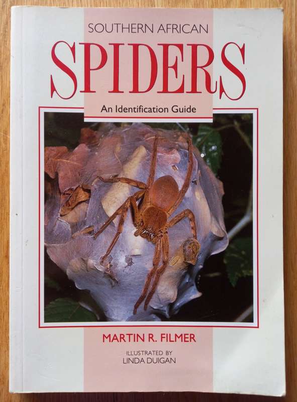 Southern African Spiders - An Identification Guide