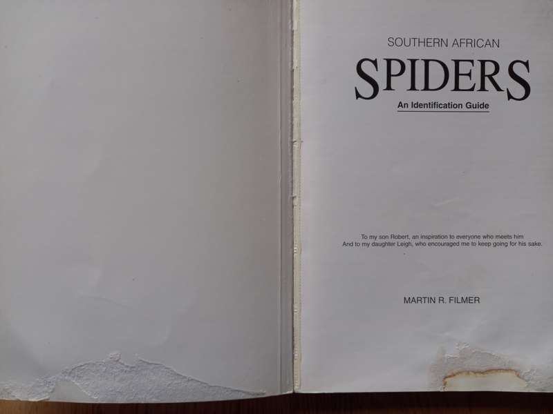 Southern African Spiders - An Identification Guide