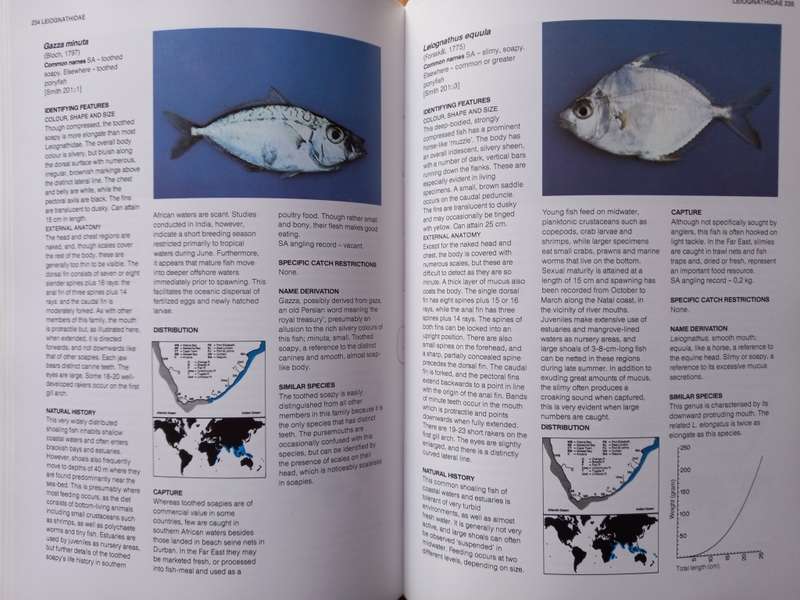 A Guide to Common Sea Fishes of Southern Africa  - 2nd Edition Revised and Updated by Rudy van der E