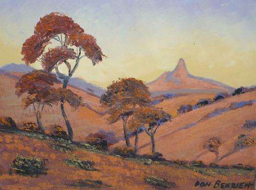 DON BENZIEN   BUSHVELD   30 CM X 20 CM