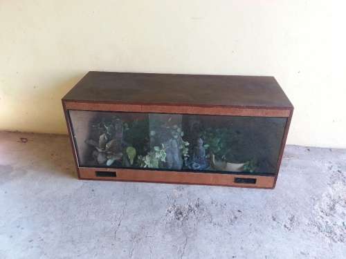 Reptile Enclosure (Complete with Plants and fittings)