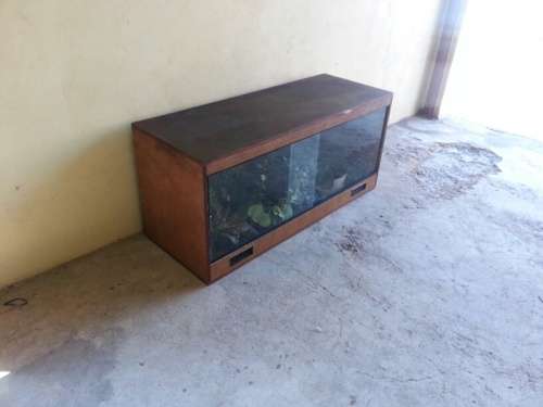Reptile Enclosure (Complete with Plants and fittings)