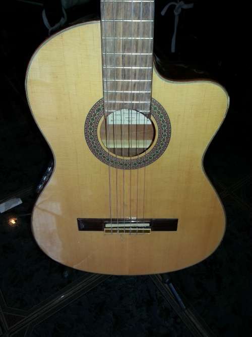 Ibanez g200ece top