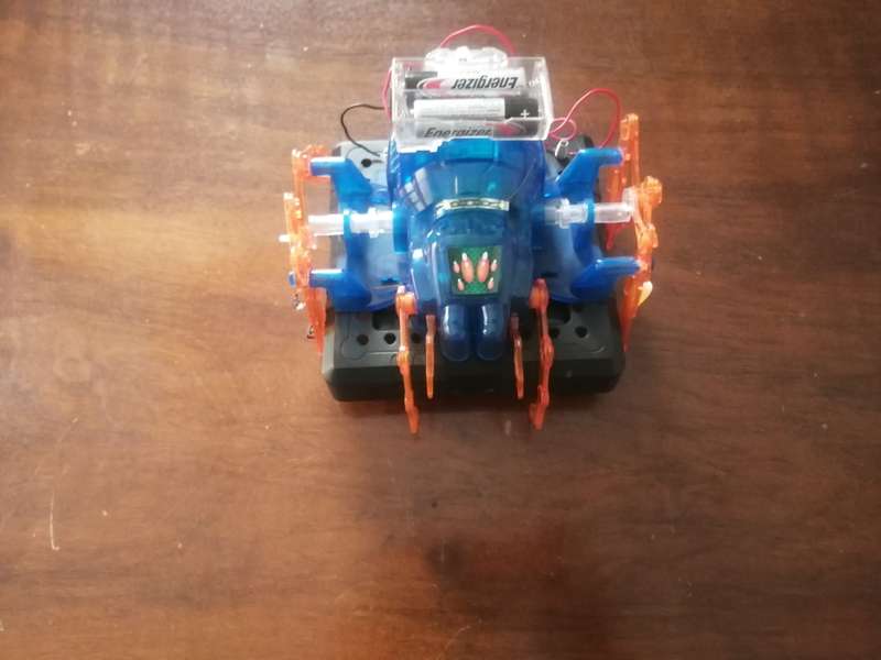 ROBOTIC SPIDER