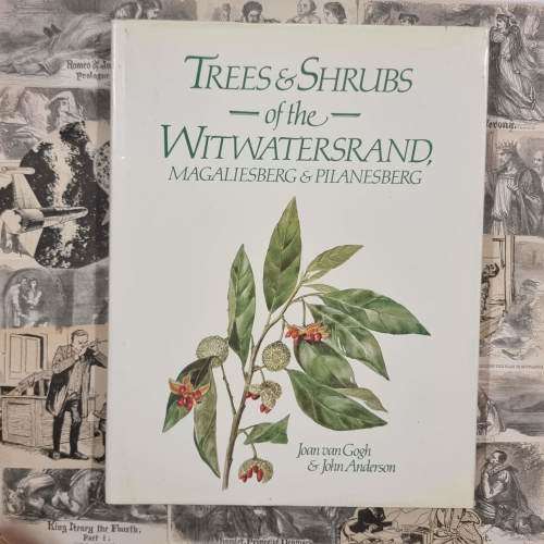 Trees and Shrubs of the Witwatersrand Magaliesberg and Pilanesberg by Joan Van Gogh - Hardcover