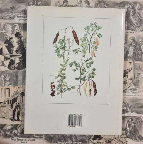 Trees and Shrubs of the Witwatersrand Magaliesberg and Pilanesberg by Joan Van Gogh - Hardcover