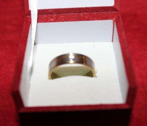 Stainless Steel & Gold Plated Men's Ring - One Cubic Zirconia: Size 10