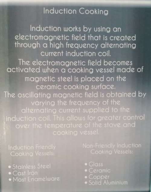 Little Swan Induction Stove