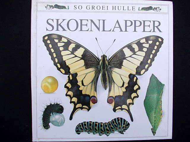 So groei hulle - SKOENLAPPERS