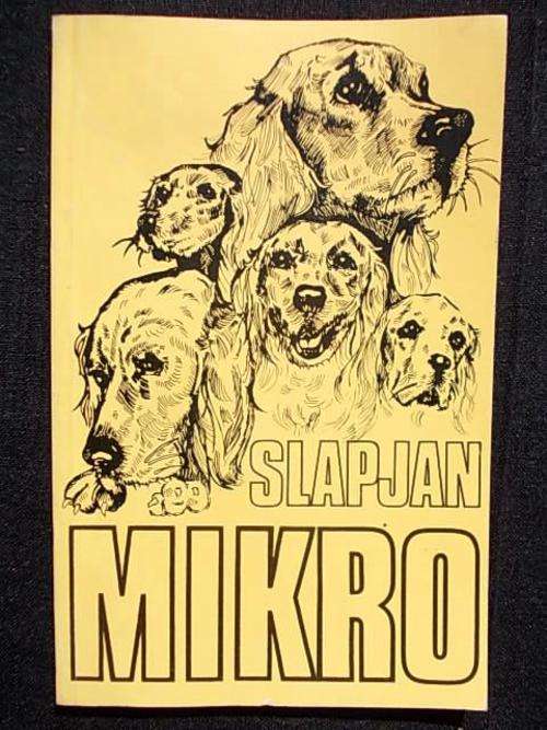 SLAPJAN deur MIKRO