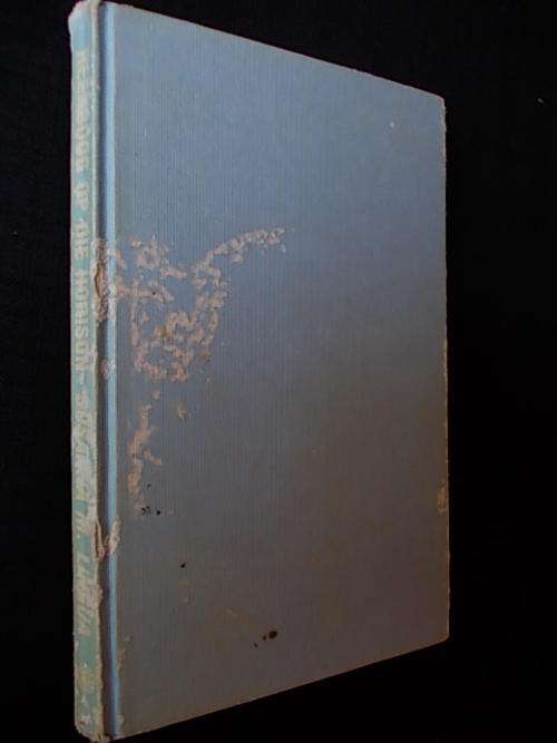 REENBOOG OP DIE HORISON - Susanna M. Lingua