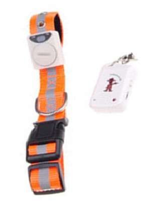 Petlost prevention collar (No reserve)