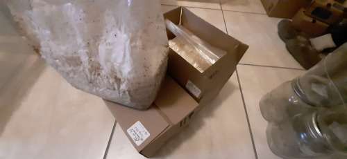 Mushroom Fruiting Blocks