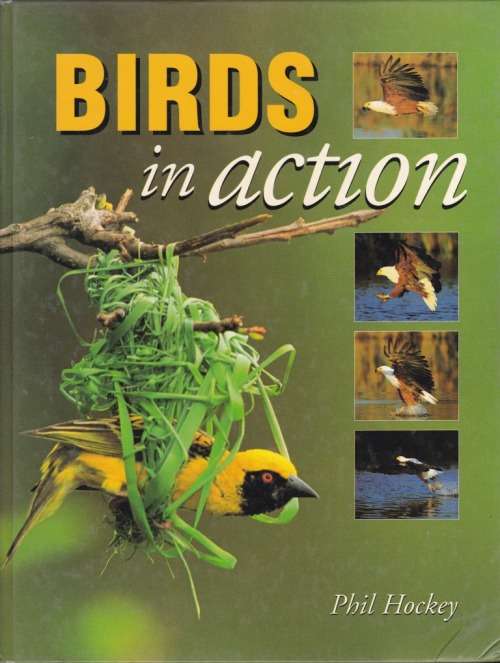 Birds in Action