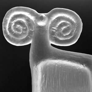 *SKLO: CZECH GLASS DESIGN FROM THE 1950s-70S: A SIGNED, BRAND NEW BOOK ON 20thC CZECH ART GLASS