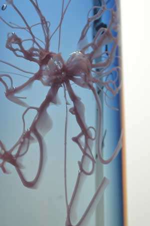 MAGNIFICENT CZECH ART GLASS VASE BY CONTEMPORARY MASTER GLASS DESIGNER PETR HORA