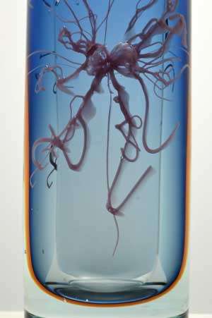 MAGNIFICENT CZECH ART GLASS VASE BY CONTEMPORARY MASTER GLASS DESIGNER PETR HORA
