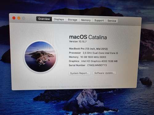 MacBook Pro (mid 2012) 13.3 inch with 256GB SSD and 16GB DDR3 RAM. Running Mac OS Catalina.