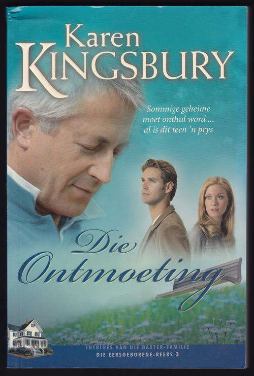 DIE ONTMOETING (KAREN KINGSBURY)