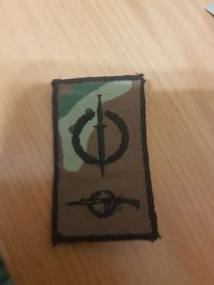 Recce Combination Breast Badge