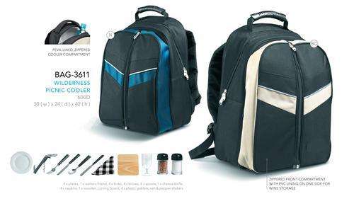 picnic backpack