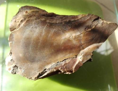 RESERVED - Petrified Wood Specimen - 9cm long - 314g - African Fossilized wood