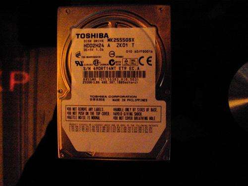 toshiba 250 gig