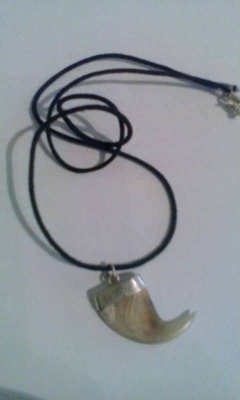 Lion Claw Pendant (genuine, silver setting)
