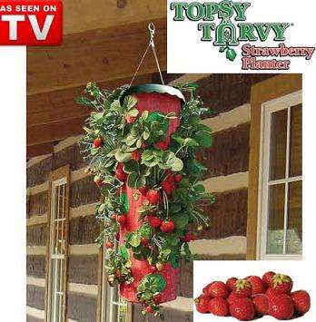 " 2 ON AUCTION " Strawberry Planter