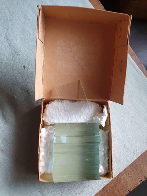 Microscope Specimen Slides