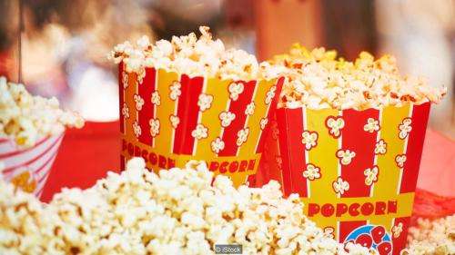 Popcorn Seeds 1kg
