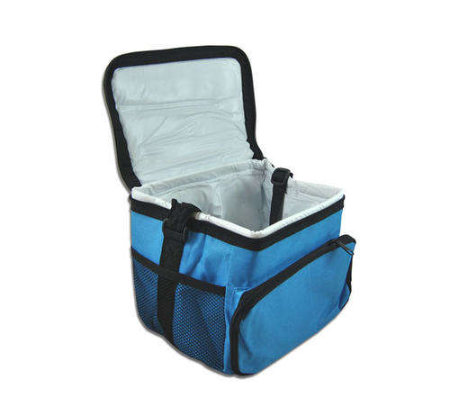 Cooler Bag - White PVC Lining & Thick Foam 200x175x175mm BLUE/RED/GREEN 3 on Auction
