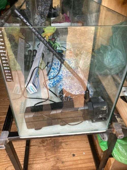 Fish tank