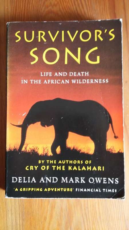 Survivor's Song