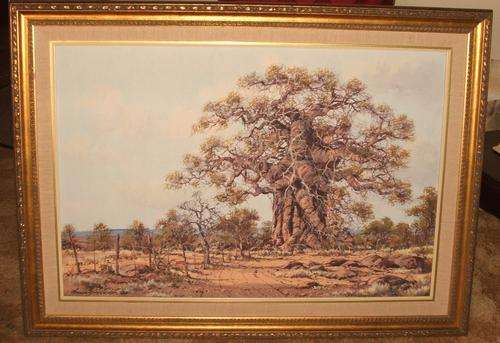 Stunning Original Francois Badenhorst.oil .painting size 600 x 900 mm