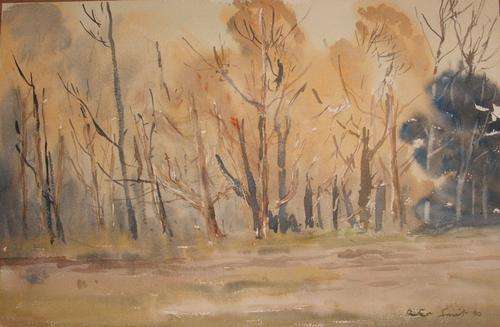 First time on BoB!! Late Peter Smit...WSSA....watercoulor  ....360 x 560 mm..