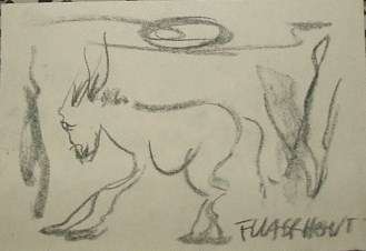 Orginal F Claerhout Donkey Chacoal on paper 145 x 210mm