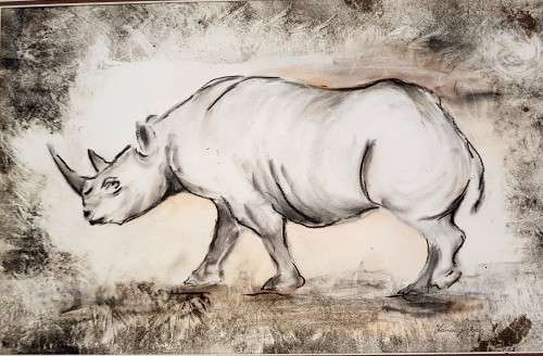 Ilona Petzer black Rhino
