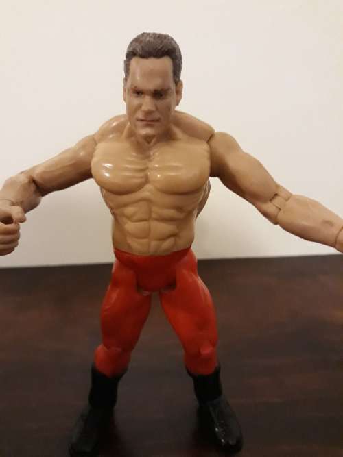 Vintage WWE Wrestling Action Figures x3 for One Bid!
