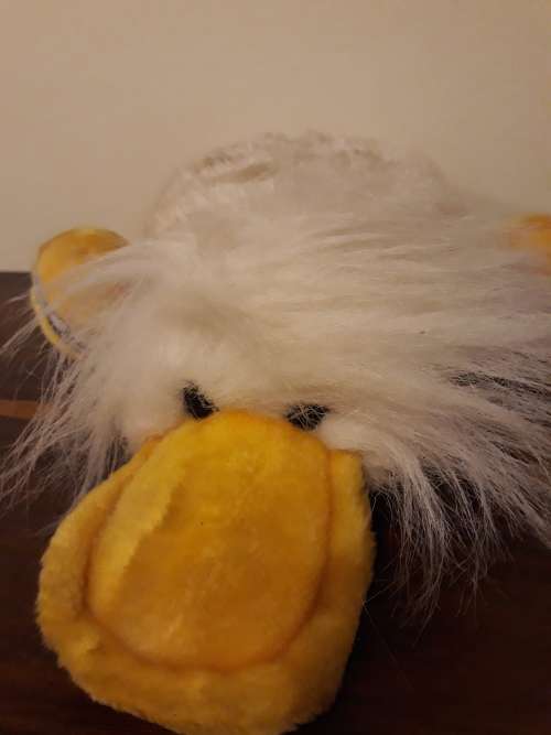 An ORIGINAL Telequack from Tele-Fun Quiz