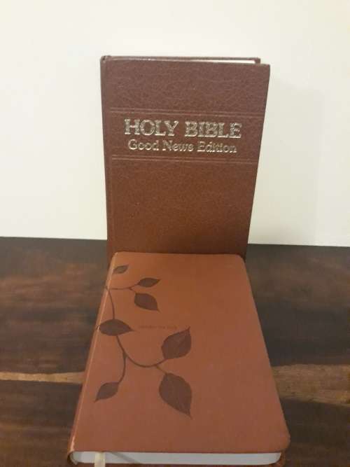 Religious Books x2 - Including The Good News Addition Bible!
